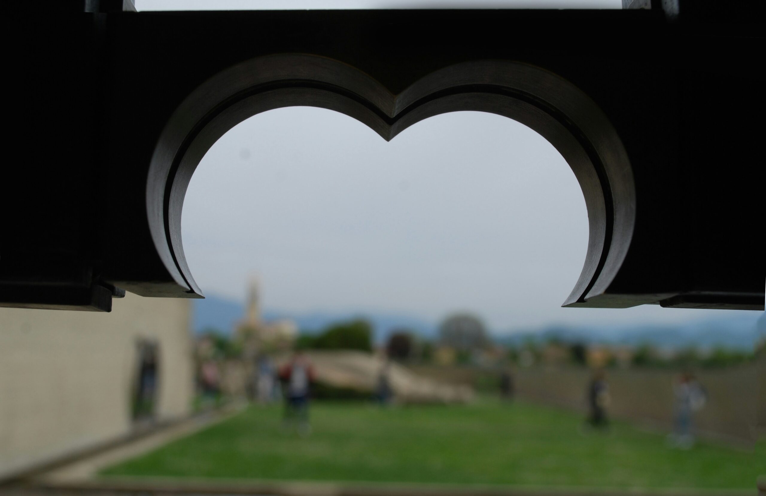 a window with a view of a grassy area